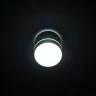 Светильник накладной Citilux Борн CL745020N