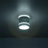Светильник накладной Citilux Борн CL745020N