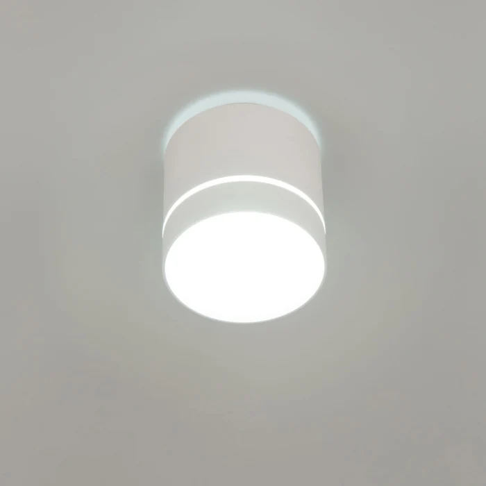 Светильник накладной Citilux Борн CL745020N