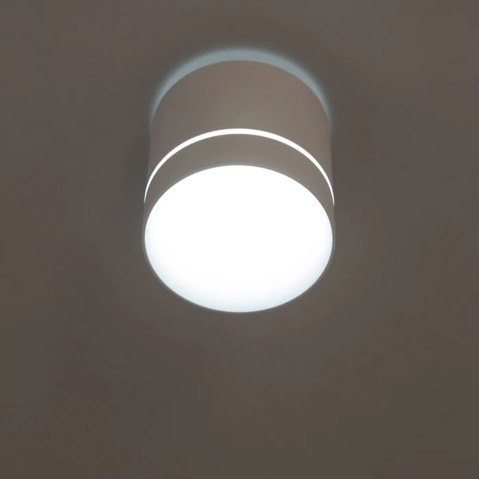 Светильник накладной Citilux Борн CL745020N