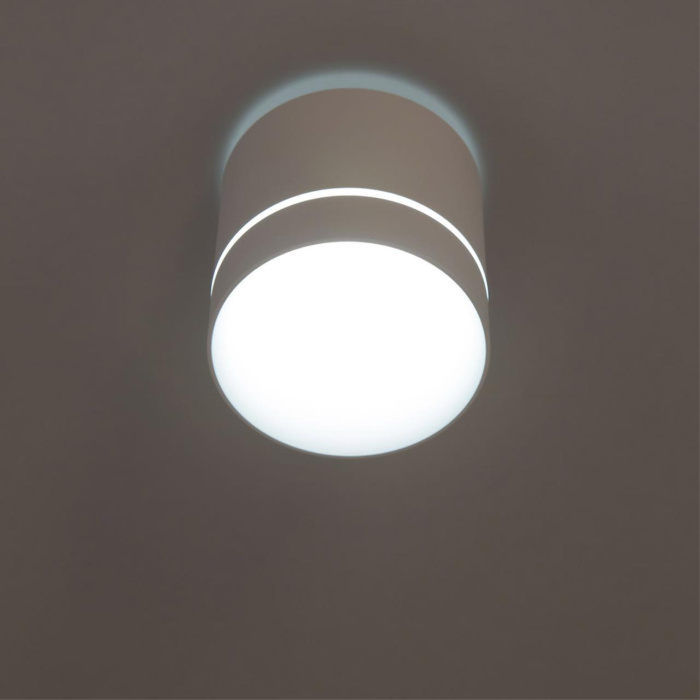 Светильник накладной Citilux Борн CL745020N