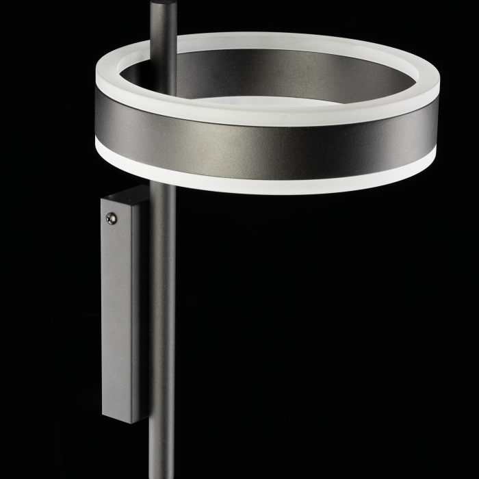 Светильник настенный Citilux Дуэт CL719311