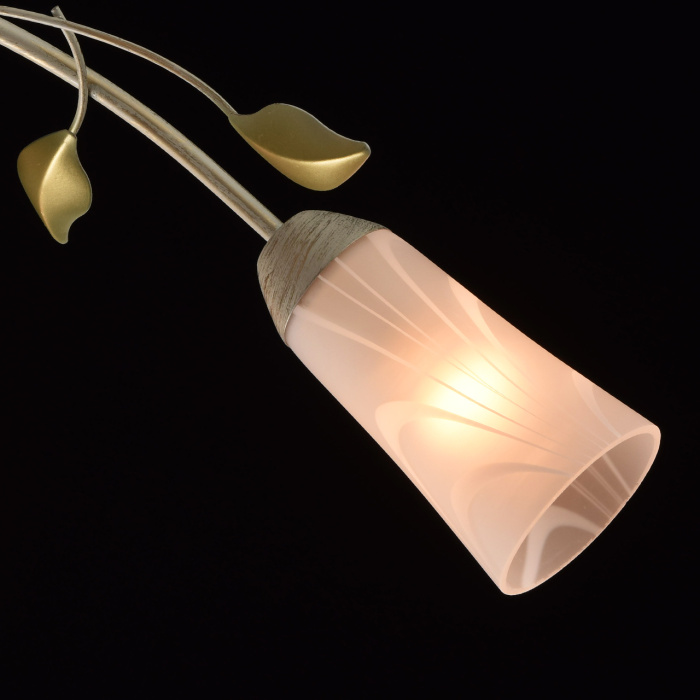 Люстра потолочная MW-Light Восторг 242015306