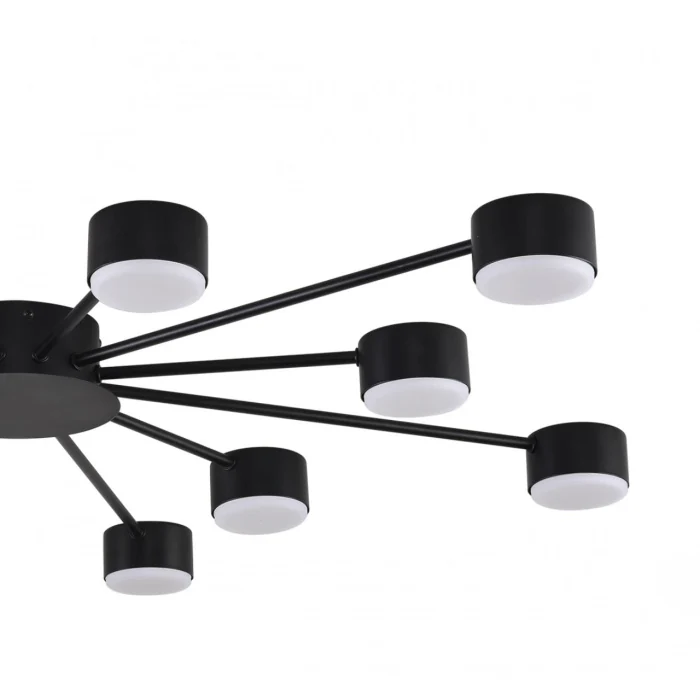 Люстра потолочная Lumion Torina 8344/12C