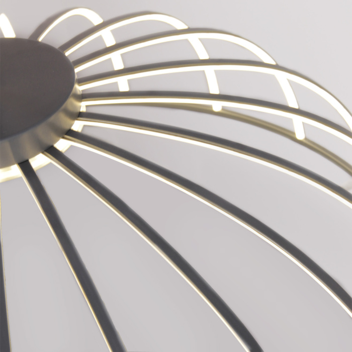 Подвесная люстра Favourite 4285-6P