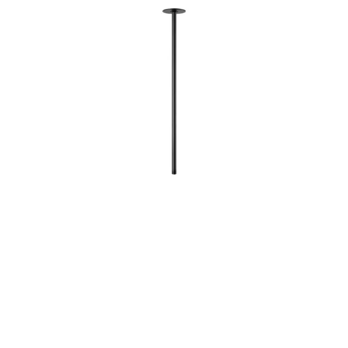 Потолочный светильник Loft it Cane 10359/600 Black