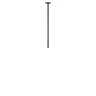 Потолочный светильник Loft it Cane 10359/600 Black