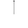 Потолочный светильник Loft it Cane 10359/600 Black
