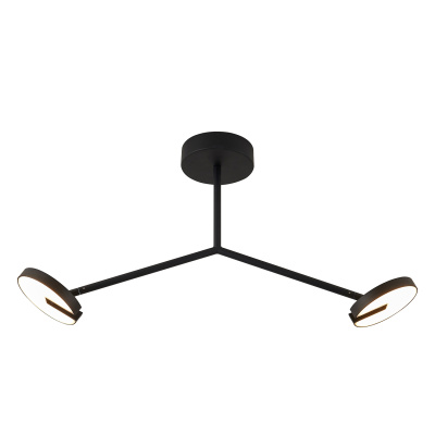 Потолочный светильник Favourite 4401-2C