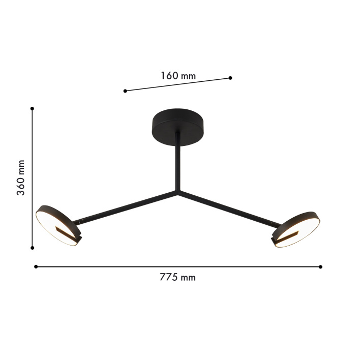 Потолочный светильник Favourite 4401-2C