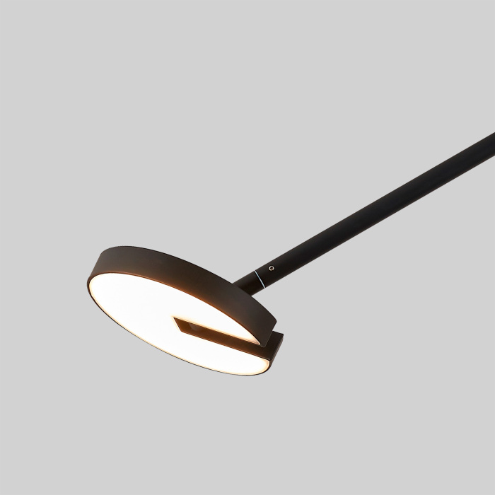 Потолочный светильник Favourite 4401-2C