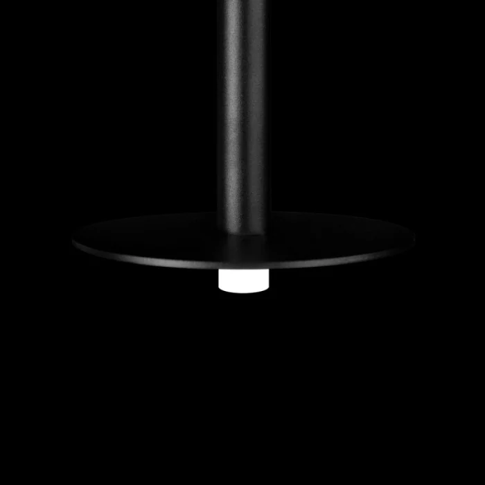 Подвесной светильник LOFT IT Reed 10358/830 Disk