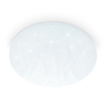 Потолочный светодиодный светильник Ambrella light FZ1013