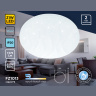 Потолочный светодиодный светильник Ambrella light FZ1013