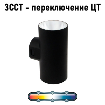 Фасадный светильник Arte Lamp ALCYONE A6109AL-2BK