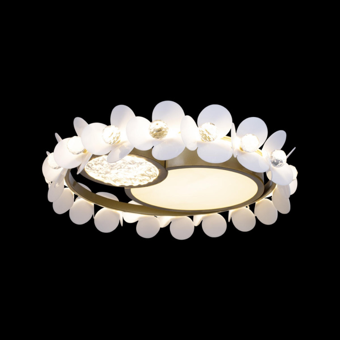 Потолочный светильник LOFT IT 10173