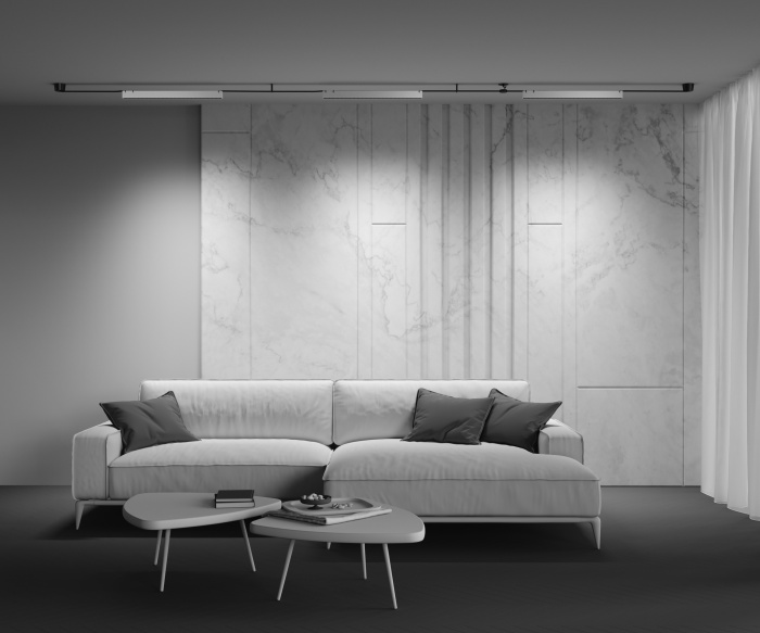 Трековый светильник Maytoni Points TR128B-24W3K-M-W