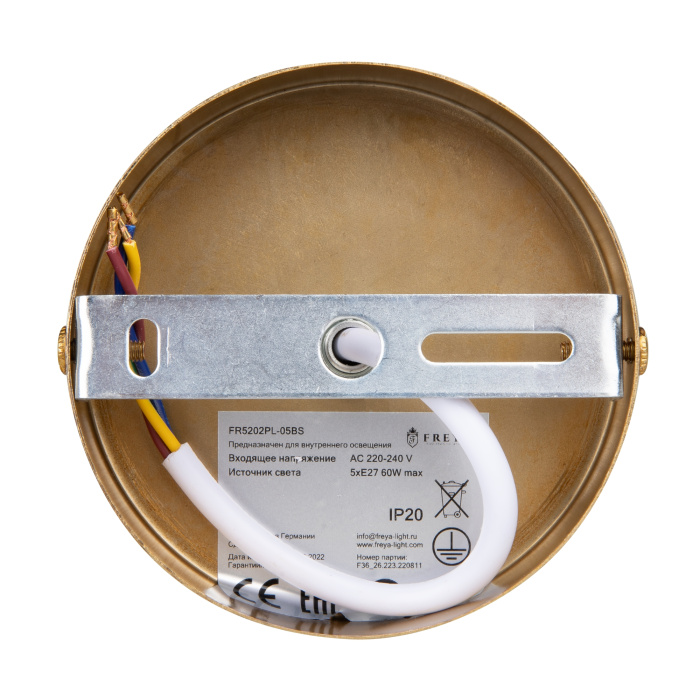 Люстра на штанге Freya Camelia FR5202PL-05BS