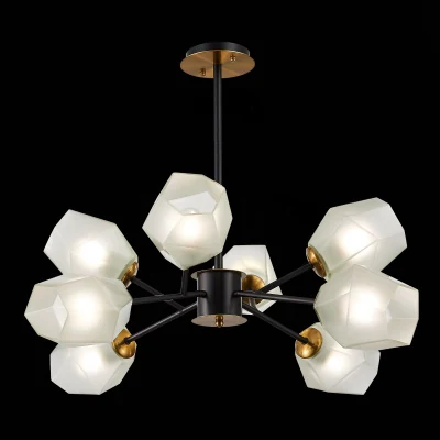 Потолочный светильник evoluce TERRAMO SLE205102-08