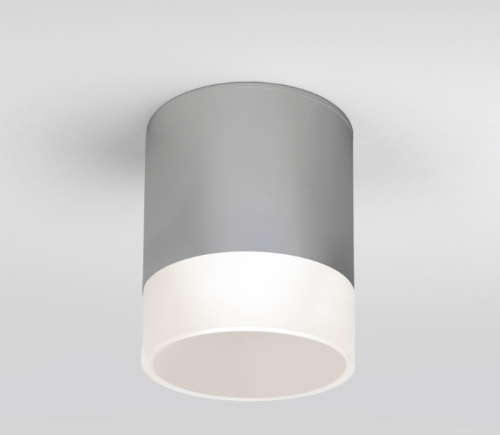 Уличный потолочный светильник Elektrostandard Light led 4690389177965