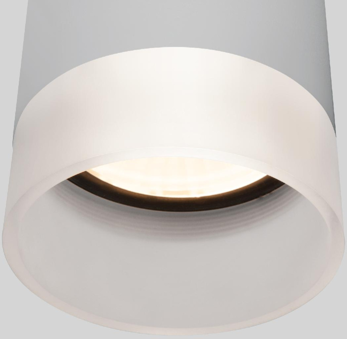 Уличный потолочный светильник Elektrostandard Light led 4690389177965