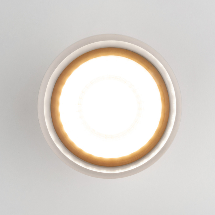 Уличный потолочный светильник Elektrostandard Light led 4690389177965