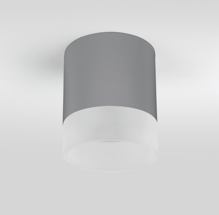Уличный потолочный светильник Elektrostandard Light led 4690389177965