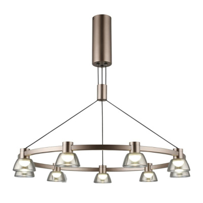 Люстра подвесная Aployt Rezeda APL.788.03.09