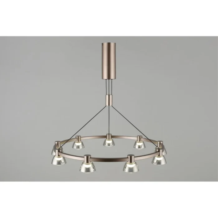 Люстра подвесная Aployt Rezeda APL.788.03.09