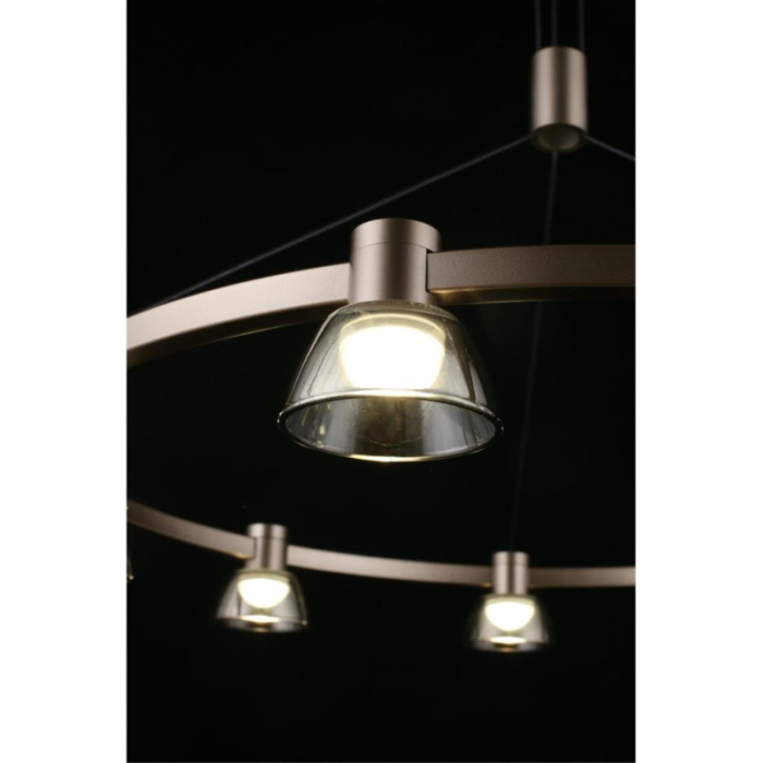 Люстра подвесная Aployt Rezeda APL.788.03.09