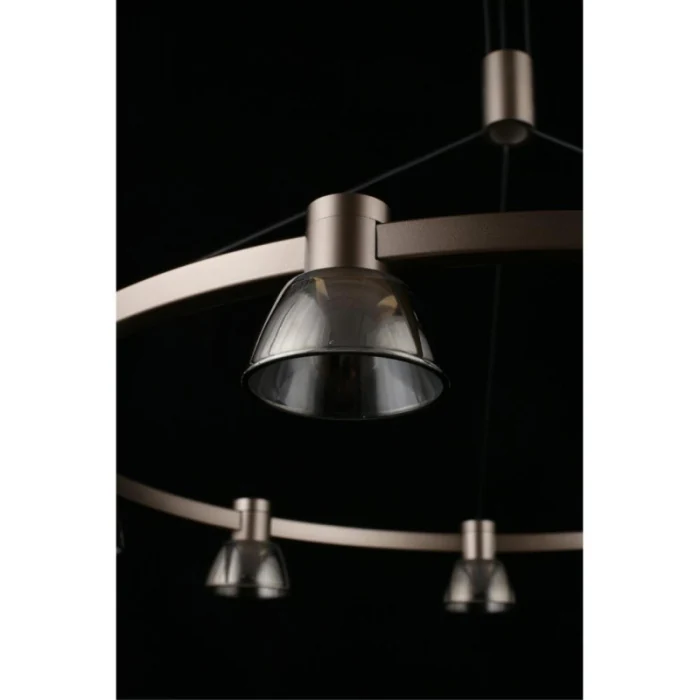 Люстра подвесная Aployt Rezeda APL.788.03.09