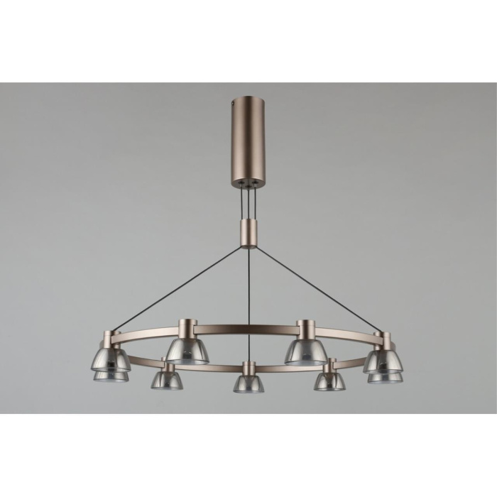 Люстра подвесная Aployt Rezeda APL.788.03.09