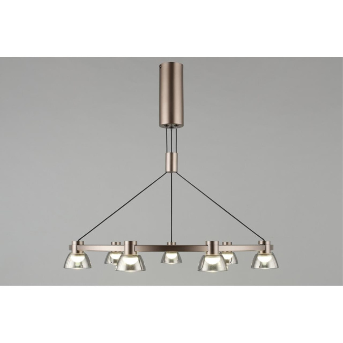 Люстра подвесная Aployt Rezeda APL.788.03.09