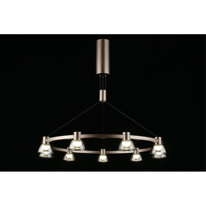 Люстра подвесная Aployt Rezeda APL.788.03.09