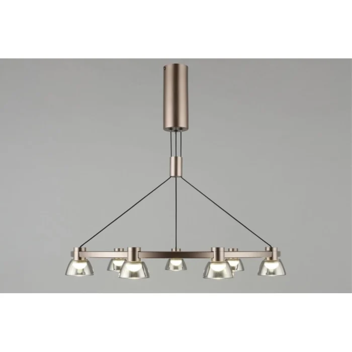 Люстра подвесная Aployt Rezeda APL.788.03.09