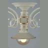 Люстра потолочная Omnilux Torri OML-50807-05
