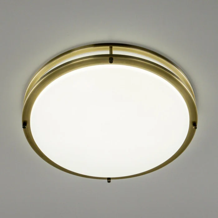Настенно-потолочный светильник Citilux Бостон CL709503N