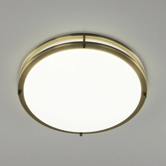 Настенно-потолочный светильник Citilux Бостон CL709503N