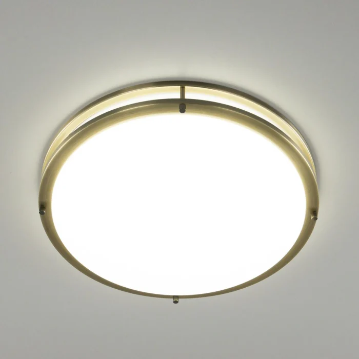 Настенно-потолочный светильник Citilux Бостон CL709503N