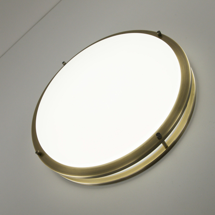 Настенно-потолочный светильник Citilux Бостон CL709503N