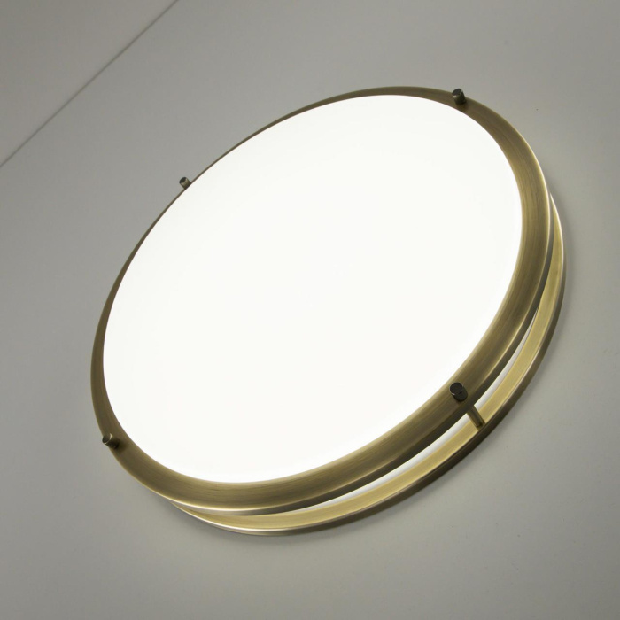 Настенно-потолочный светильник Citilux Бостон CL709503N