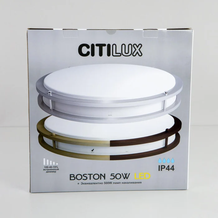 Настенно-потолочный светильник Citilux Бостон CL709503N