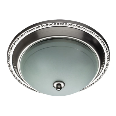 Потолочный светильник Arte Lamp ALTA A3011PL-2SS