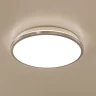 Светильник потолочный Citilux Луна CL702221N