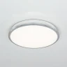 Светильник потолочный Citilux Луна CL702221N