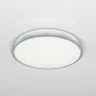 Светильник потолочный Citilux Луна CL702221N