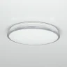Светильник потолочный Citilux Луна CL702221N