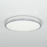 Светильник потолочный Citilux Луна CL702221N