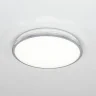 Светильник потолочный Citilux Луна CL702221N