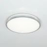 Светильник потолочный Citilux Луна CL702221N